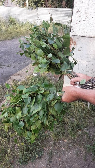 Берёзовые веники.