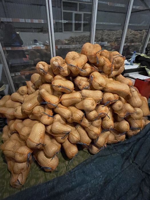 Vand dovleci placintari