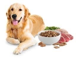 Hrana uscata pentru câini 10 kg