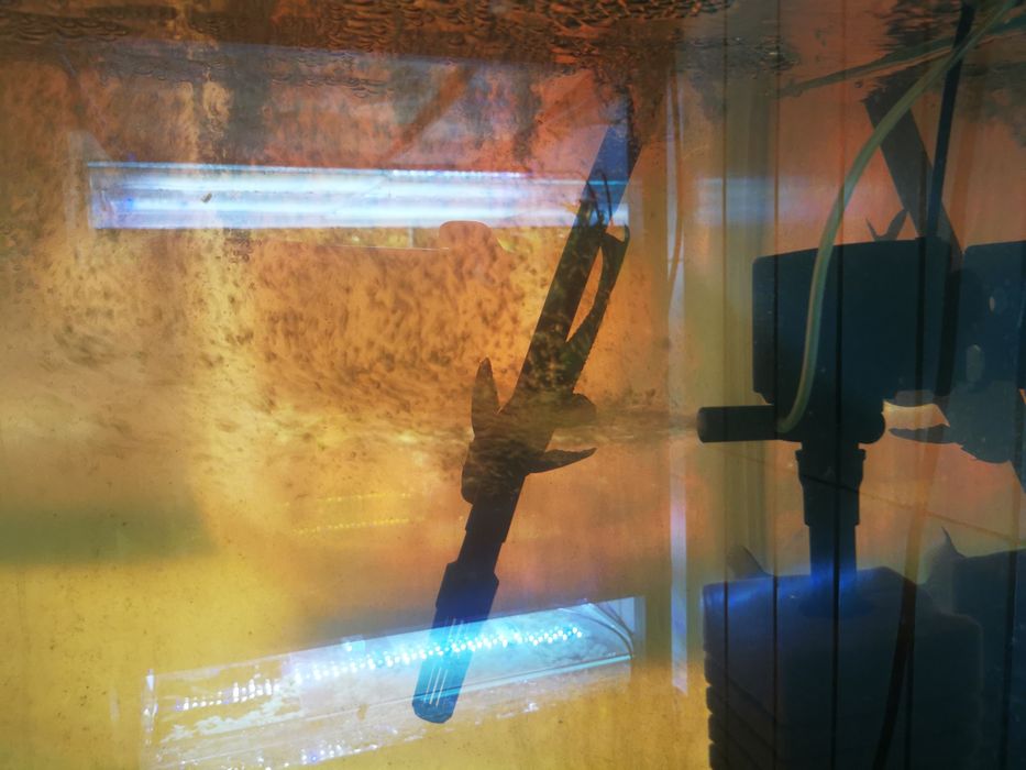 Cap de filtru oxigen