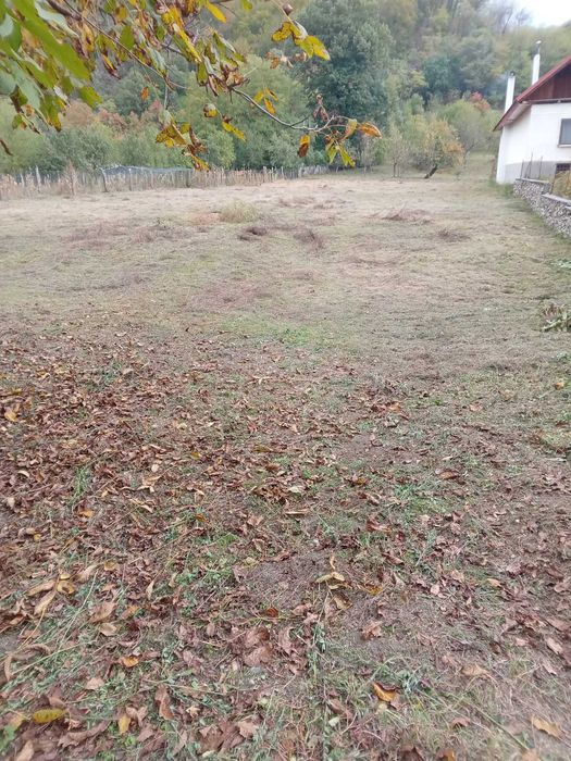 Teren oferit spre vanzare, Sambotin 3549 mp
