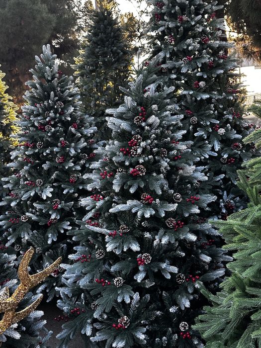 Ёлки ветки и гирлянди