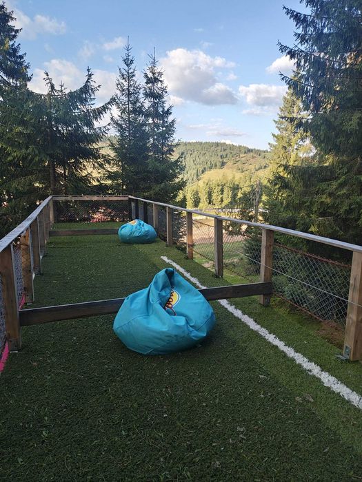 Tiny House by the forest