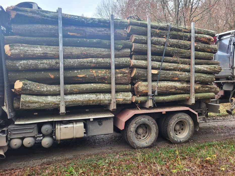 Lemn de foc carpen fag salcam stejar