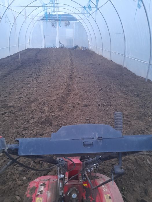 Sap gradini cu motocultor