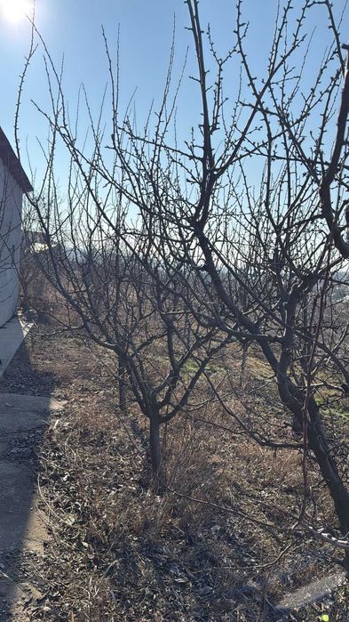 vand teren in localitatea Smardan