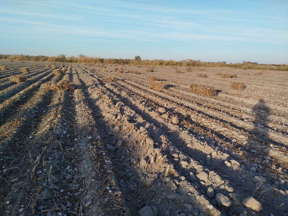 G'o'za poya,hezum,pres,прес