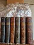 Vând dictionar Noul Larousse ilustrat -6 volume