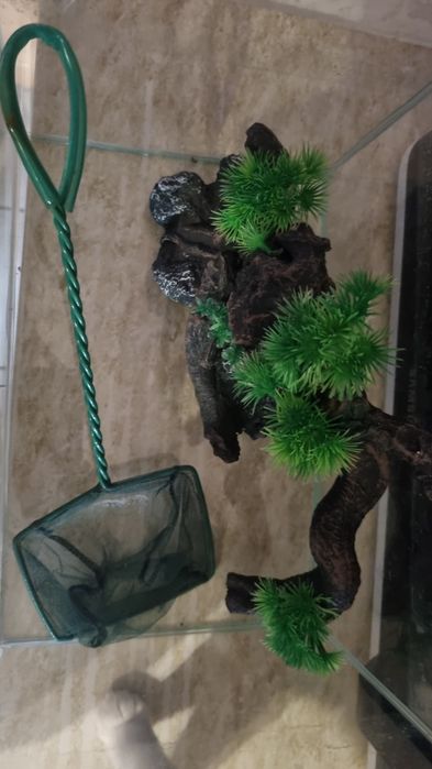 Аквариум със украса