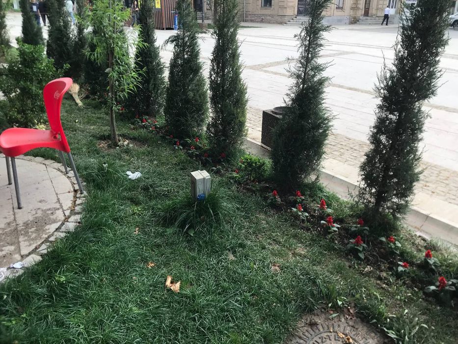 Тажрибали мутахасис Богбон хизмати