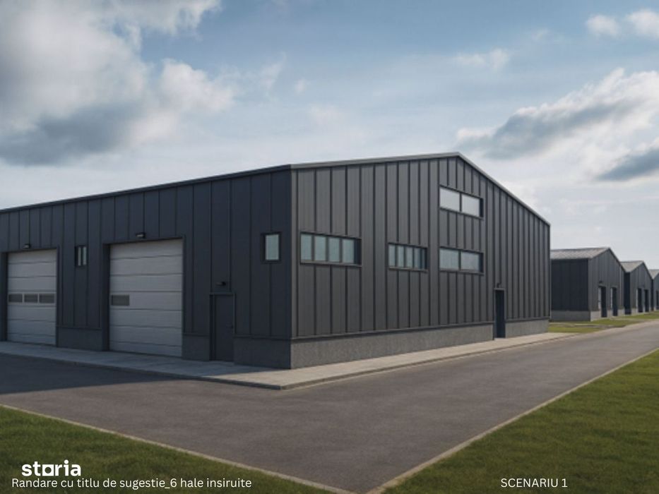 Oportunitate investitie constructie HALE DEPOZITE Cernica