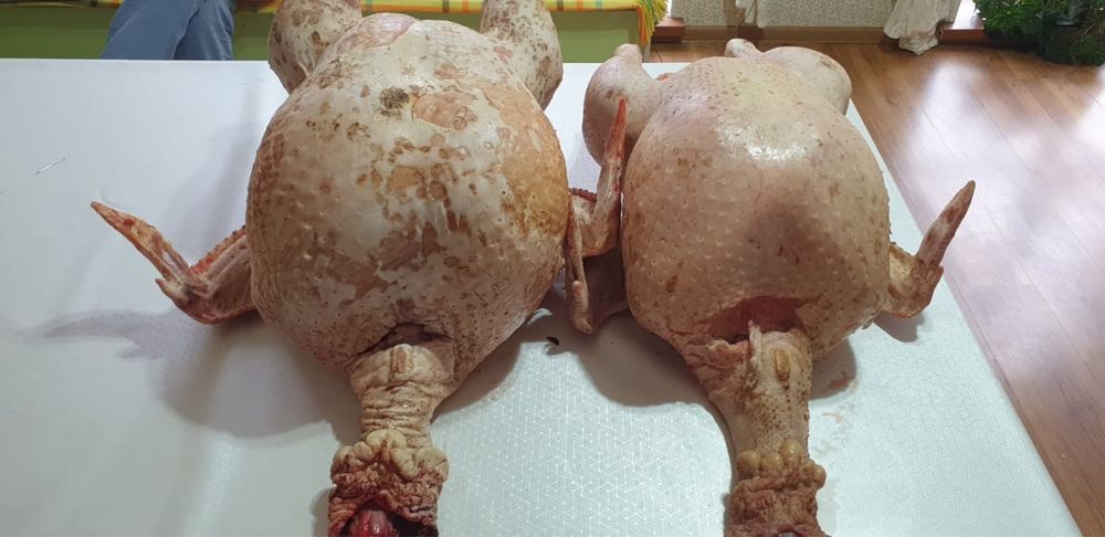 Мясо домашнего бройлера