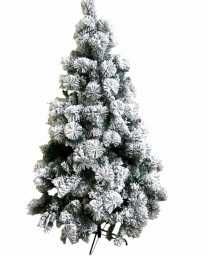 Елхи От нашия Черен Ноември