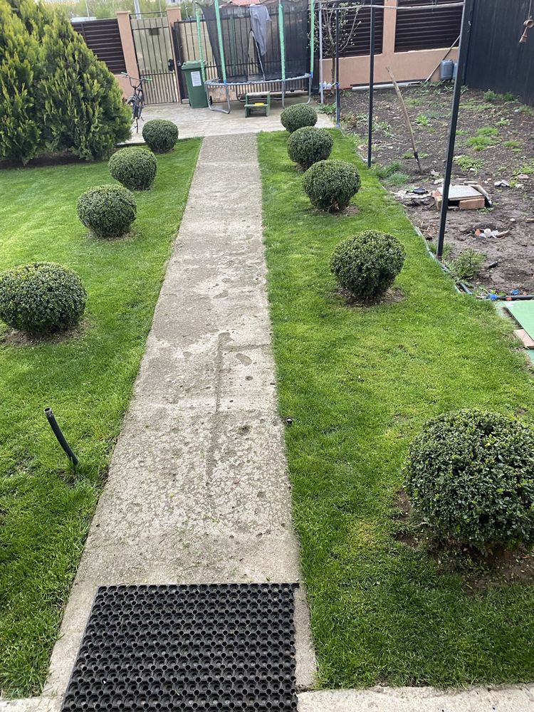 Vand Casa P+M Branesti/Propietar