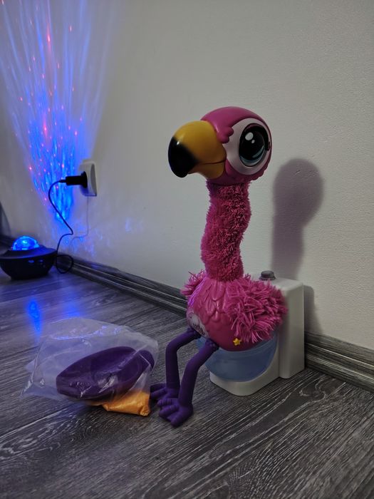 Flamingo cantaret , vorbaret si mancacios