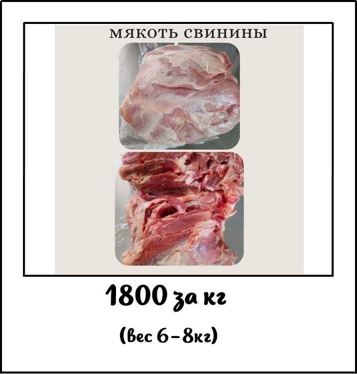 Мясо свинины по выгодным ценам