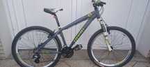 Bicicleta mountain bike