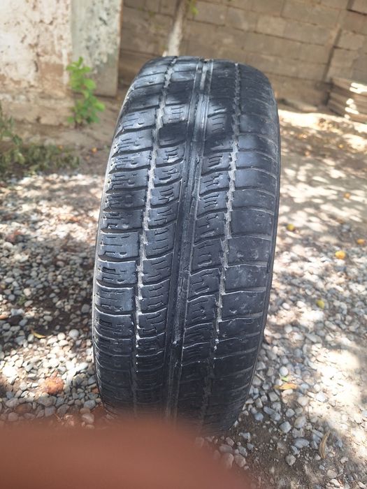 Kama 175/65/R14 всесезонка балон