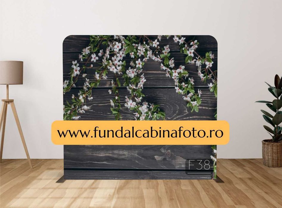Fundal Foto Fundal Cabina Foto