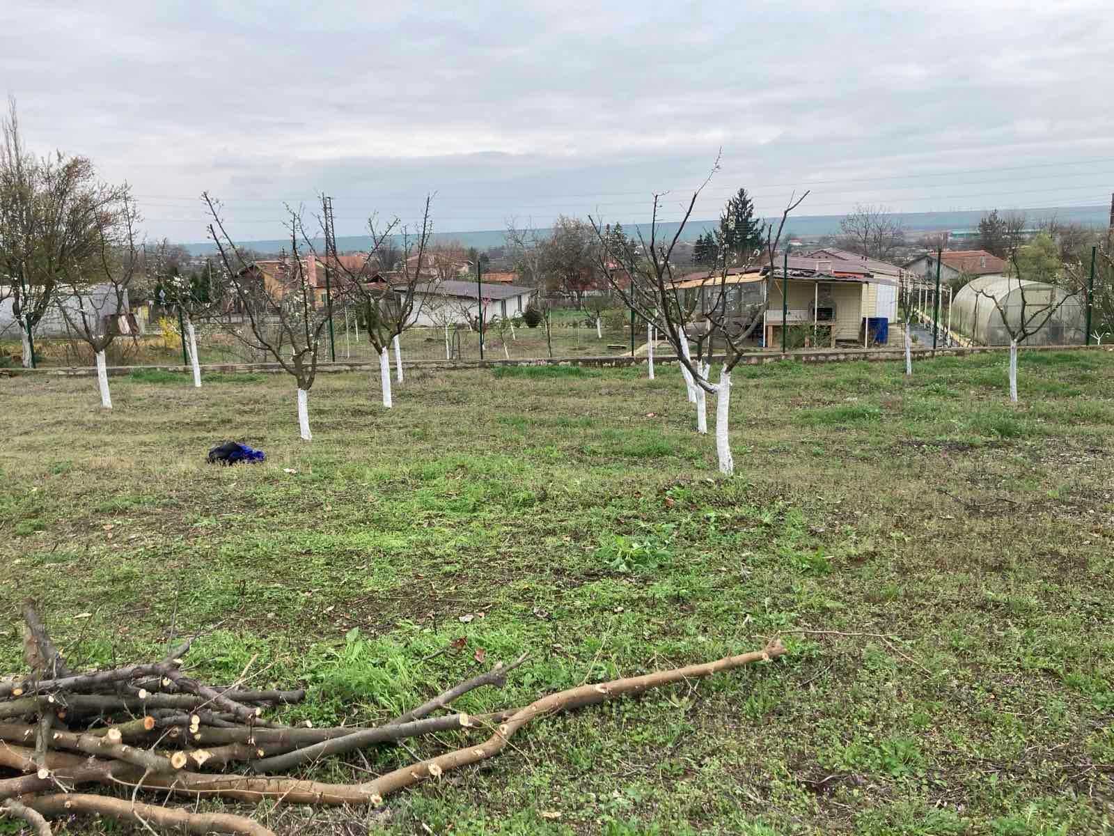 Почистване на парцели от растителност