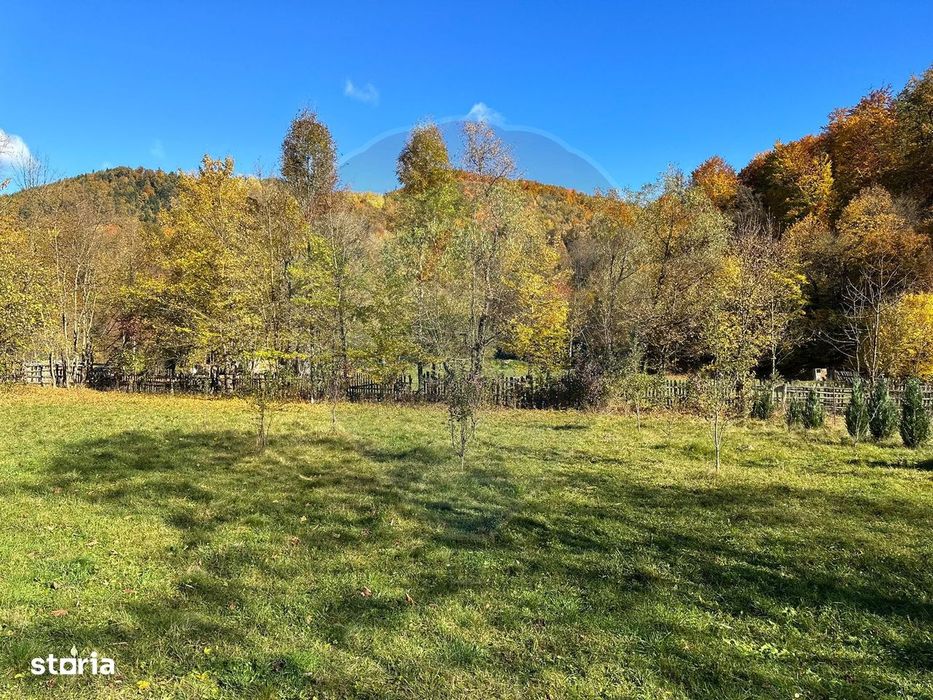 Teren de vanzare Cuiejdel 1350 mp