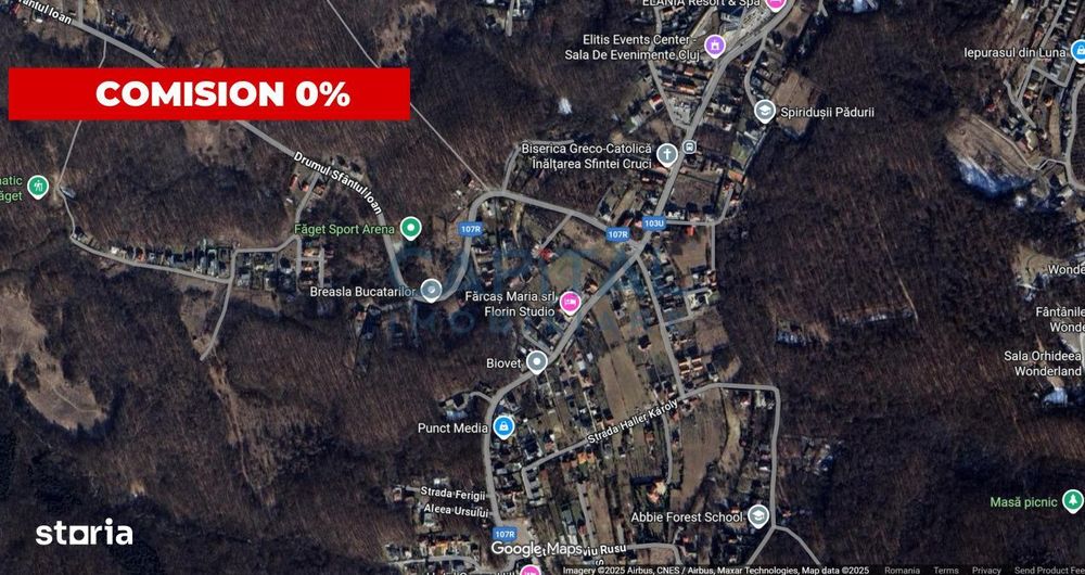 Teren de vanzare in Faget – 800 mp, front stradal generos de 19 m