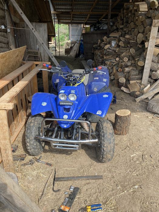 Vand  cadru de atv 300 cc