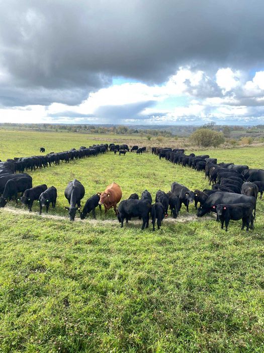 Продаваме акции,за да разрастнем дейноста си,акционерно дружество,ферм