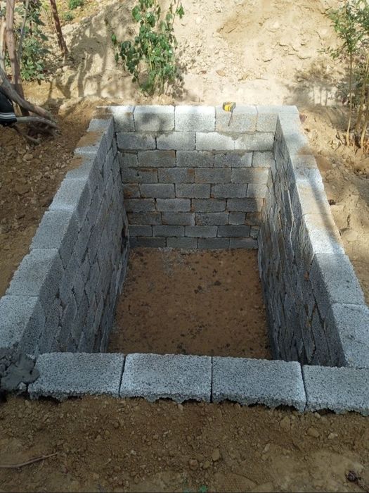 Ура Tiransha Tashkent buylab