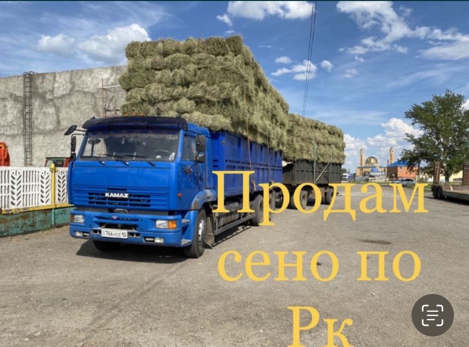 Продам сено тюках тюкованное