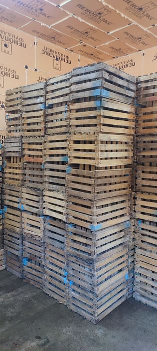 Ящики сосна 800 ТГ