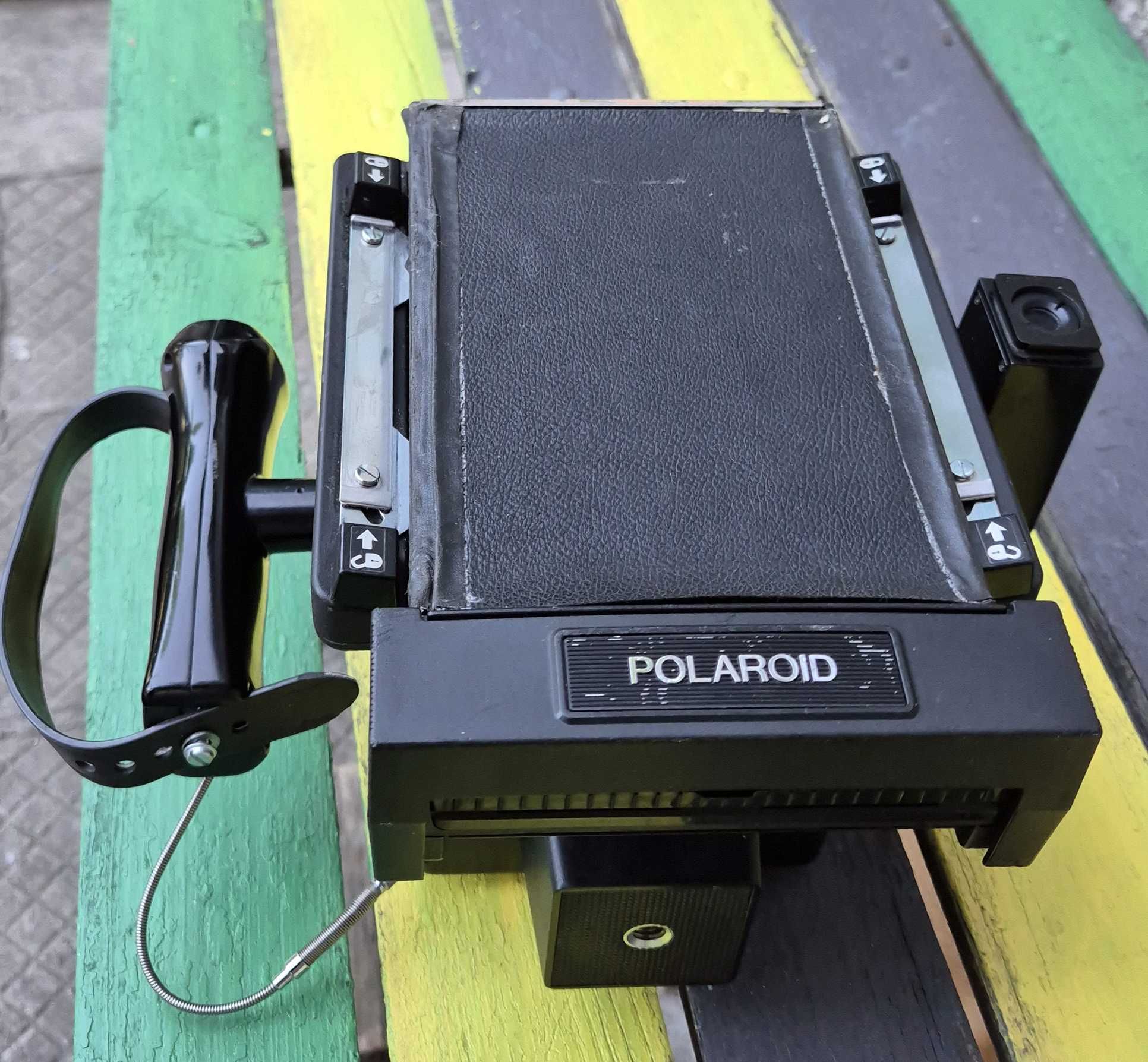 Polaroid Mini portrait