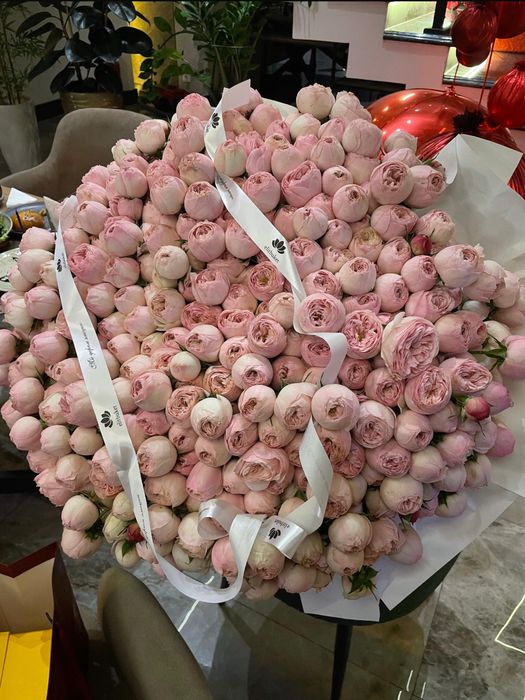 Цветы      Пионы