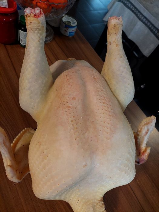 Curcani și curci