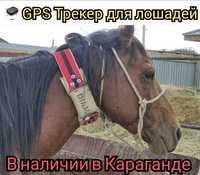 GPS GSM Трекер ошейник для отслеживания лошадей коров скота жылқыға