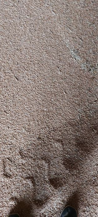 Зерно сместа 75 тенге