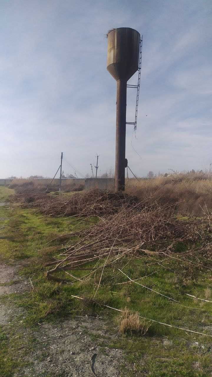 Sirdaryo viloyati Boyovut tumanida Chorva ferma binosi sotiladi
