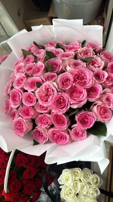 Свежие сегодняшние цветы