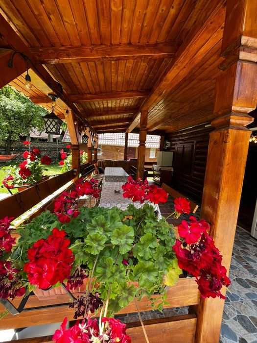 Cabană de închiriat!