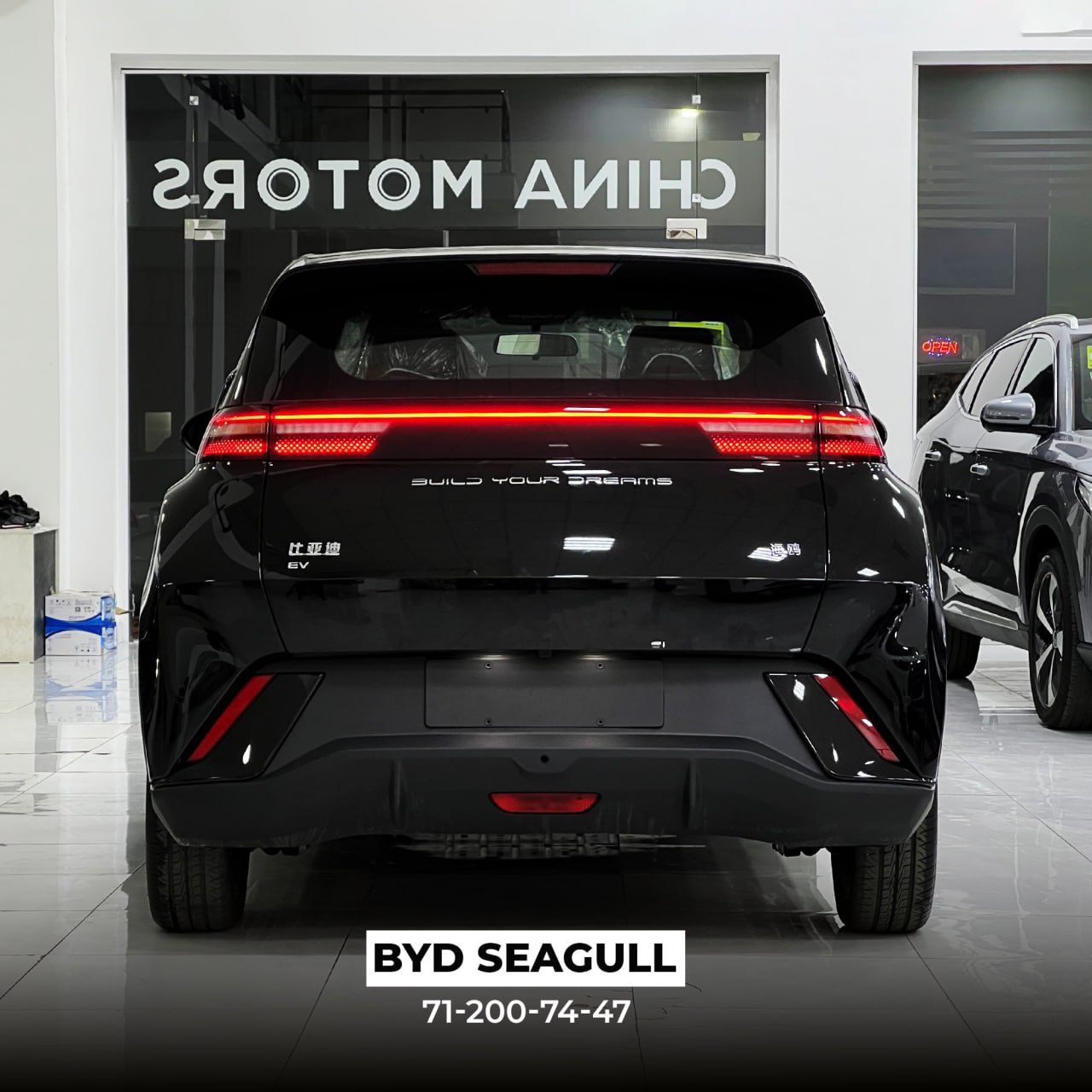 Byd seagull full