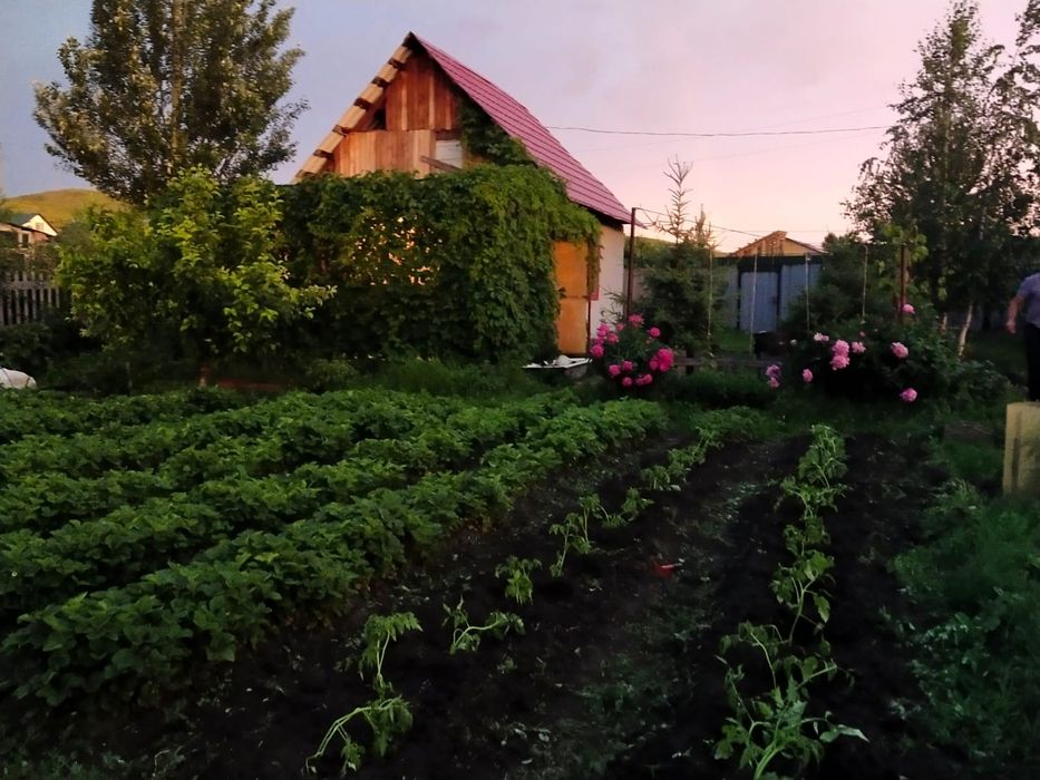Продам дачу, 6 соток