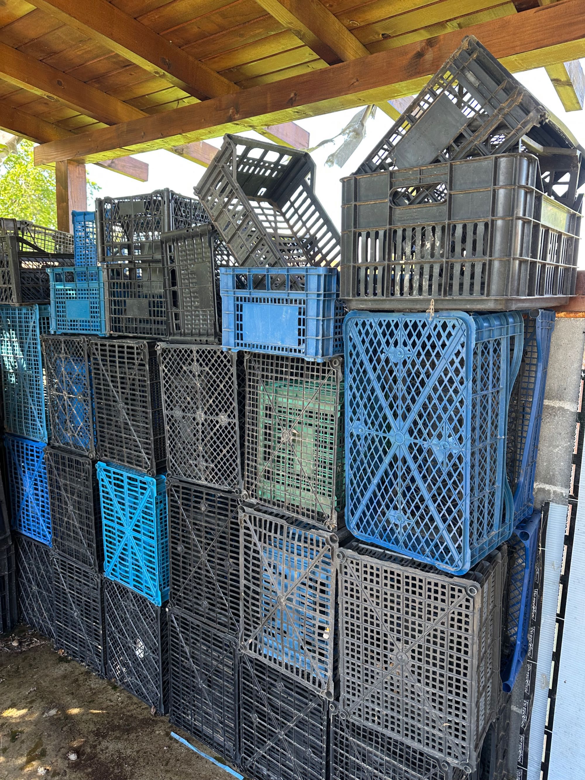 Каси пластмасови