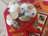 Ornament cu scoici