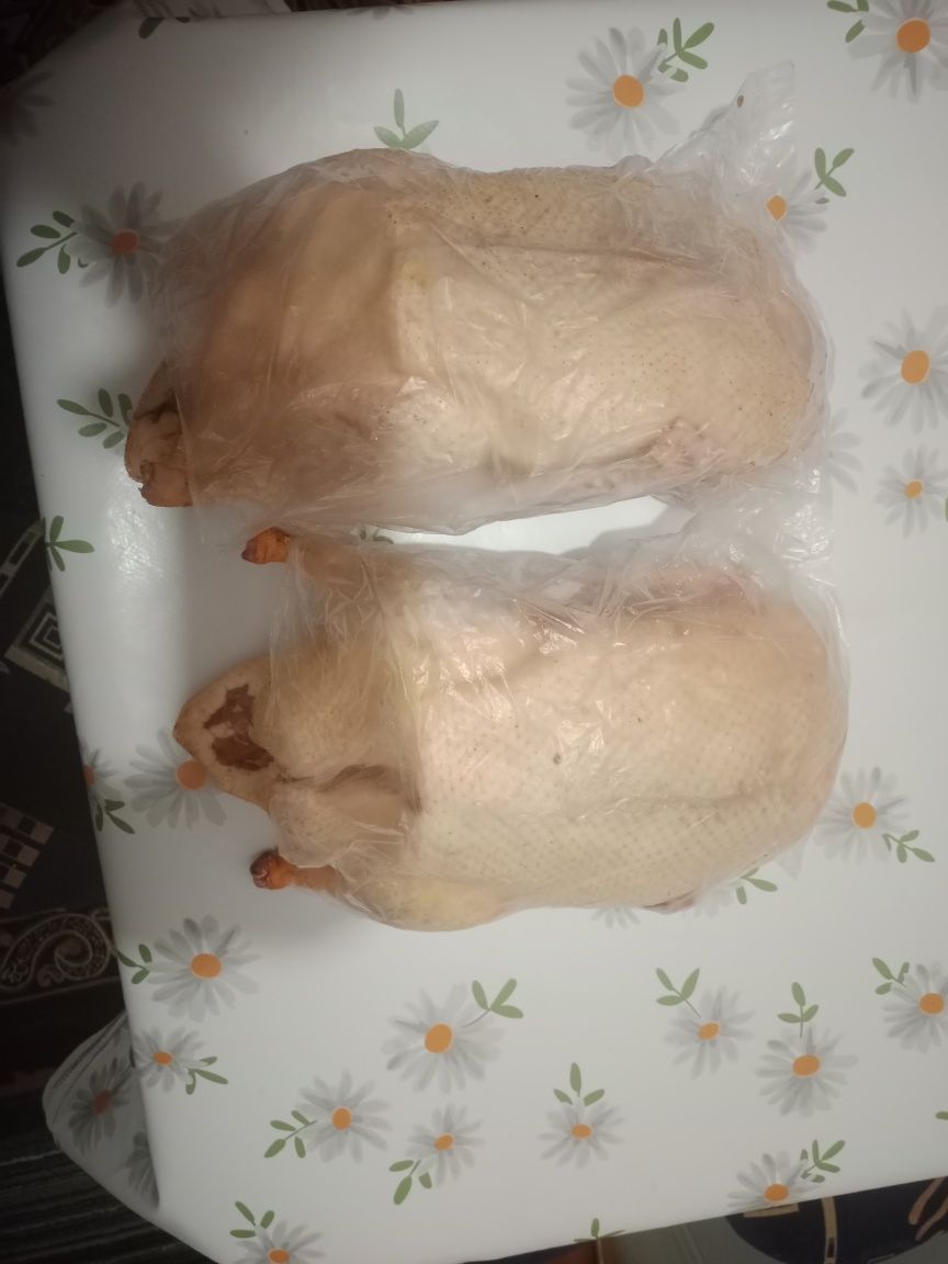 Мясо утки2025###