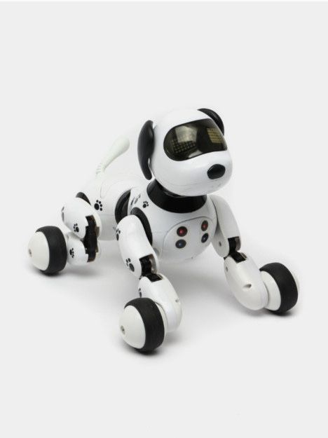 Радиоуправляемая собака