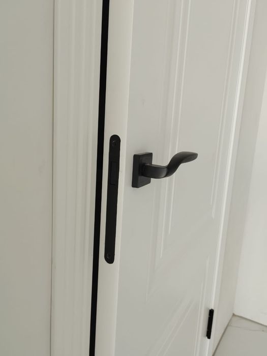 установка межкомнатных дверей.
Профессион