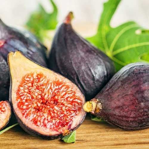 Pomi Fructiferi Exotici La Ghiveci (Smochin )