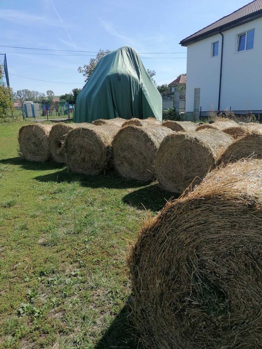 Baloti de lucernă și fan