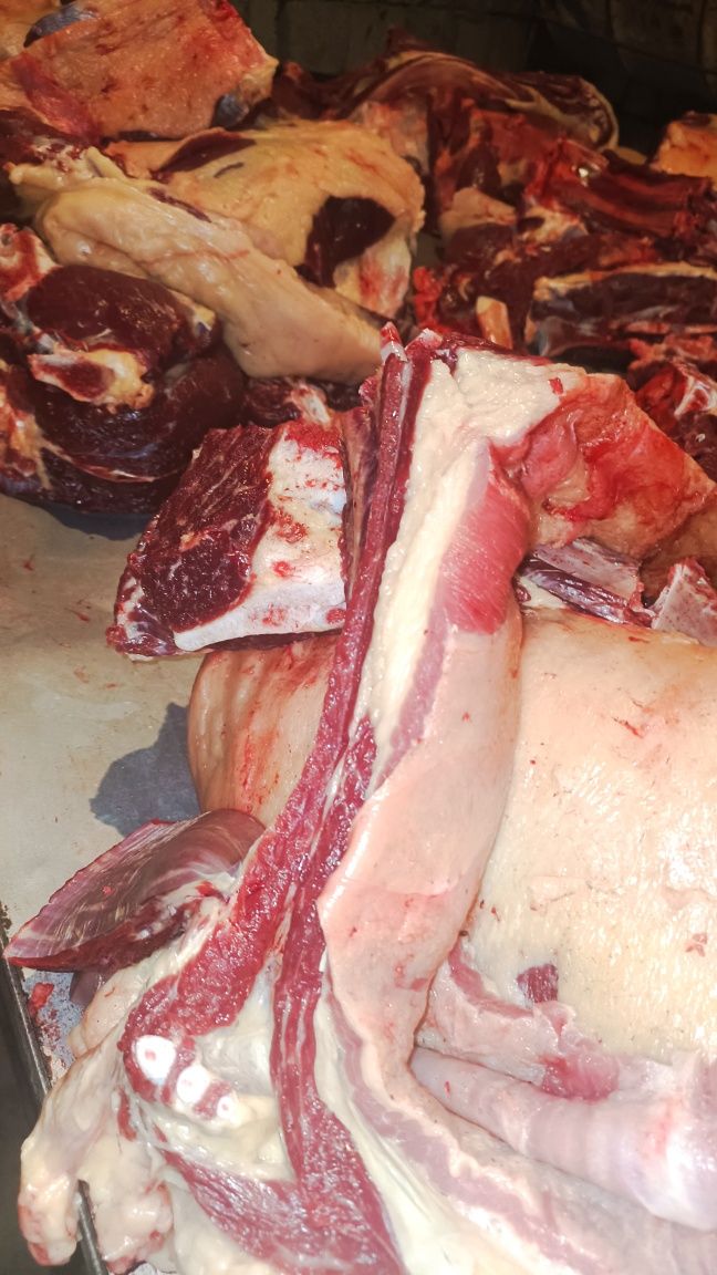 Бүгінге дайын 2 жілік Жылқы еті Соғым мясо согым
