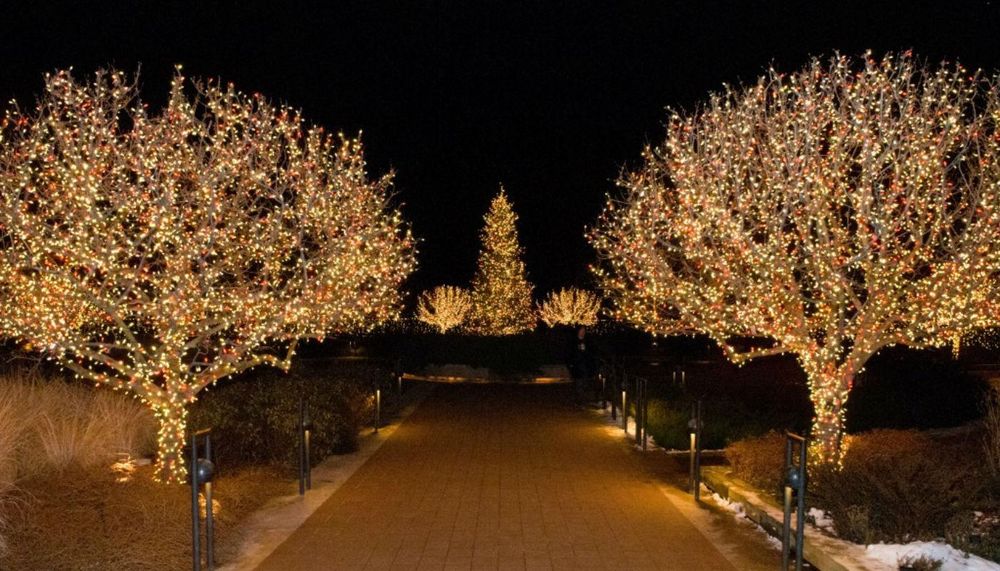 Новогодное Свадебное оформление Декор Оформление свадьбы